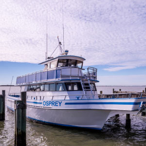 Osprey Cruises professional staff