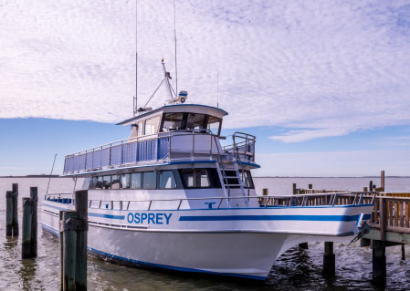 Osprey Charters