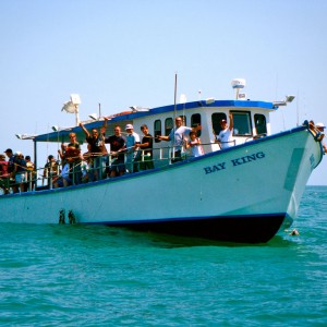 Bay King