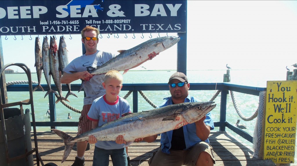 Deep sea fishing catch aboard Osprey Cruises