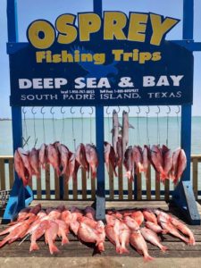 Ocean Epics - Padre Island Shark and Big Game Fishing Charters